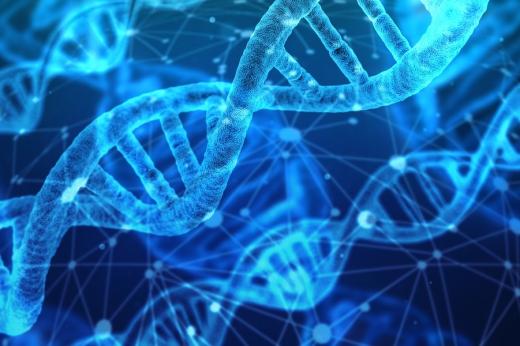 DNA
