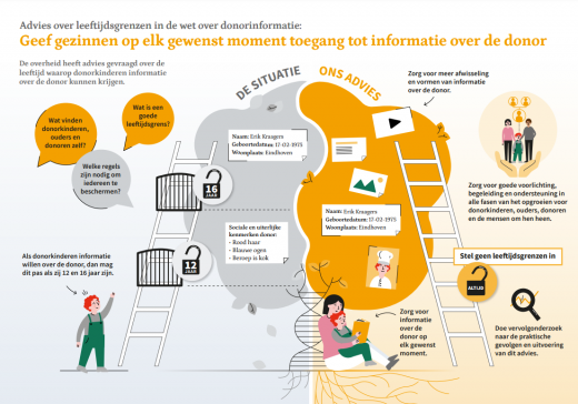 Infographic advies leeftijdsgrenzen Wdkb